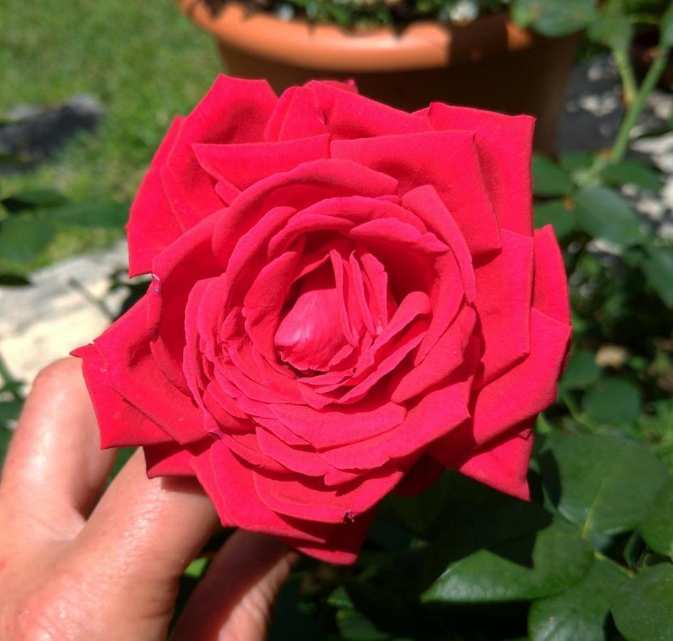 Gemma Di Gallura Charme B&B Olbia Kültér fotó